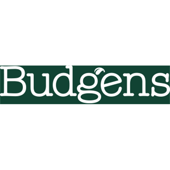Budgens - Haddenham