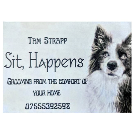Sit Happens